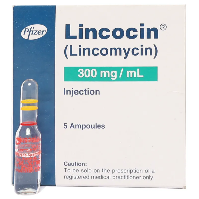 Lincocin     300mg injection