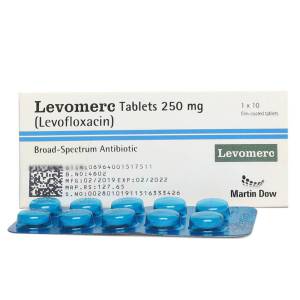Levomerc 250mg tablet